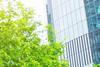 Why short duration bonds may offer attractive opportunities in 2025